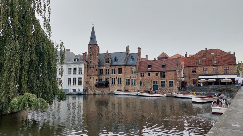 brujas (1)