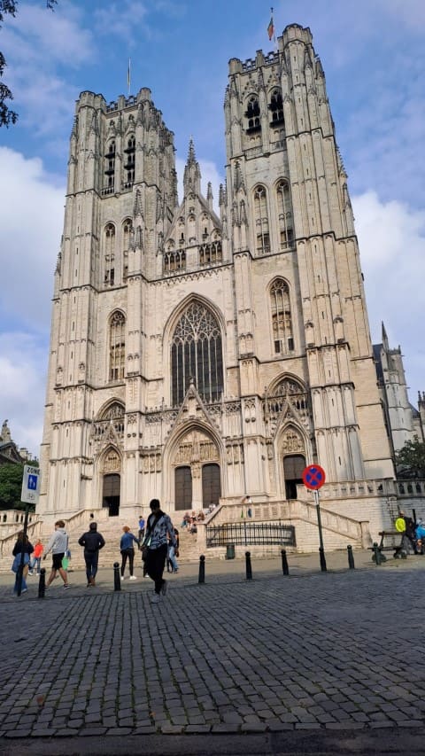 bruselas (7)