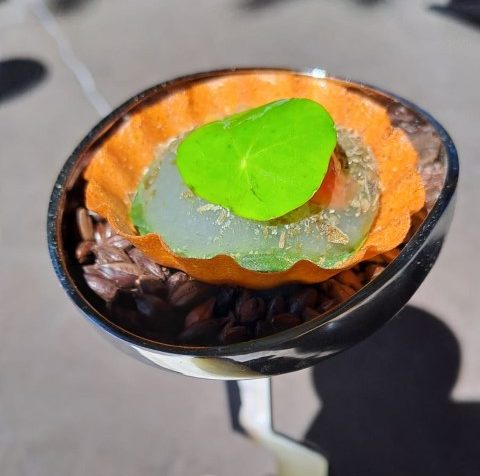 cabana-buenavista (1)